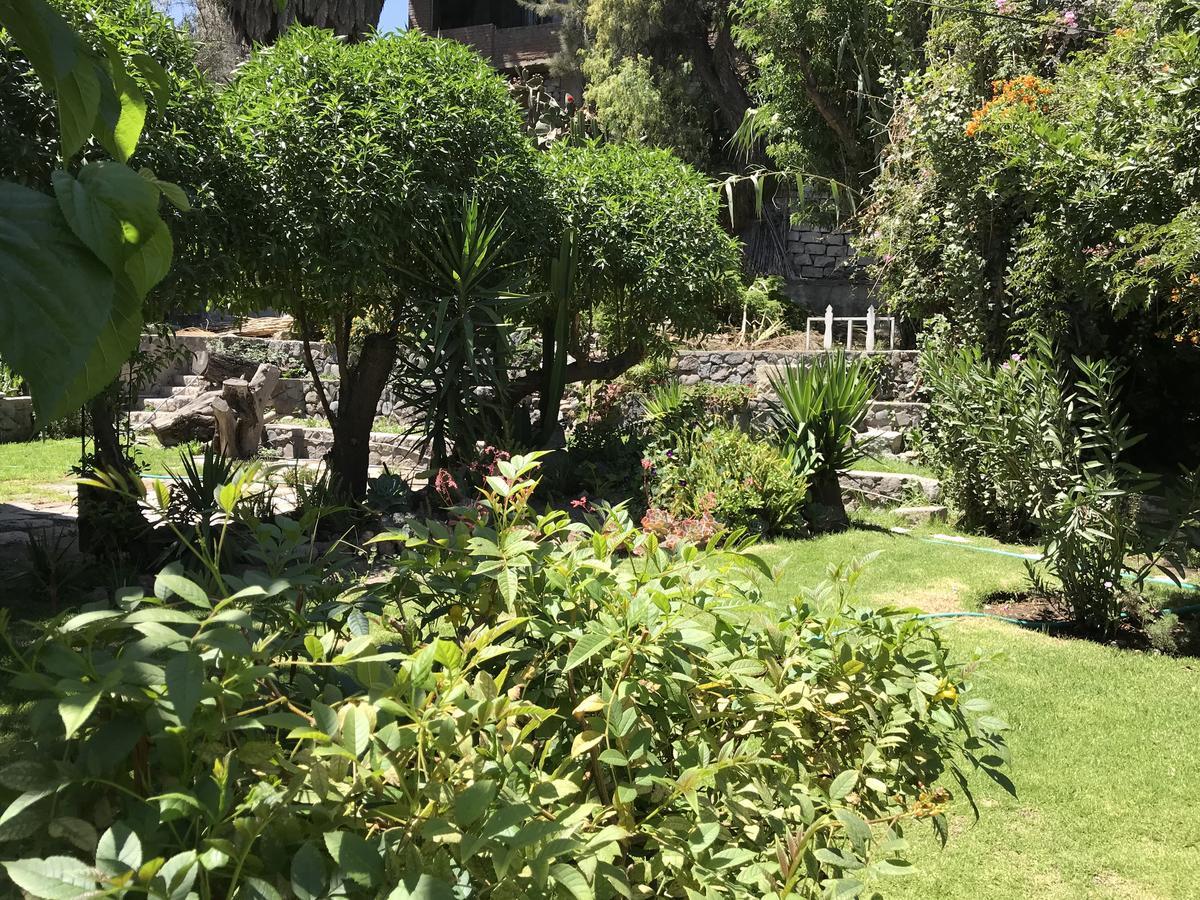Grace Valley Hotel Arequipa Esterno foto