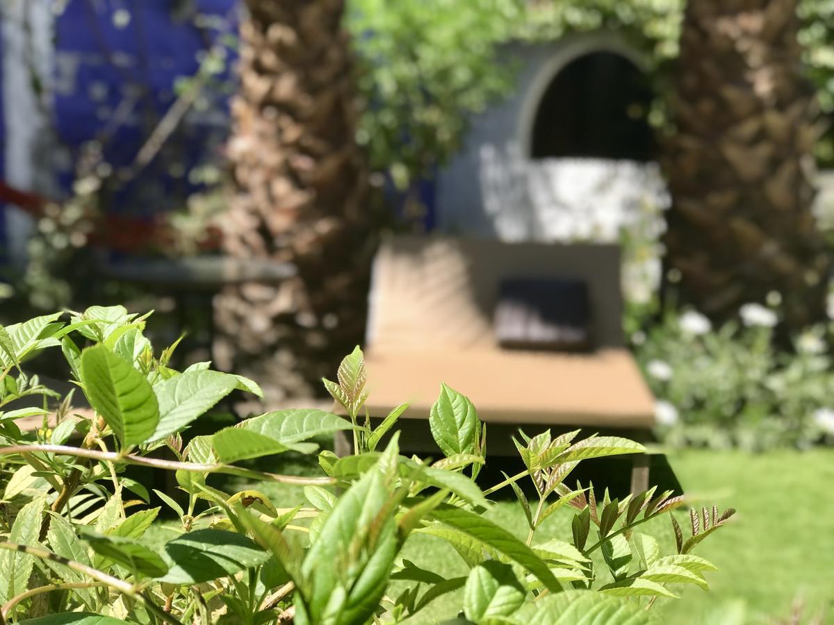 Grace Valley Hotel Arequipa Esterno foto