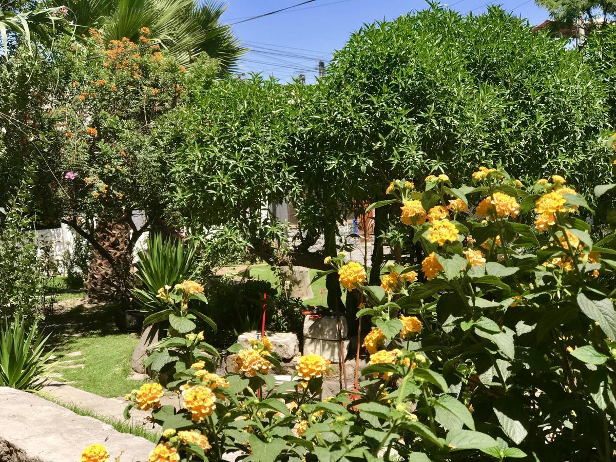 Grace Valley Hotel Arequipa Esterno foto