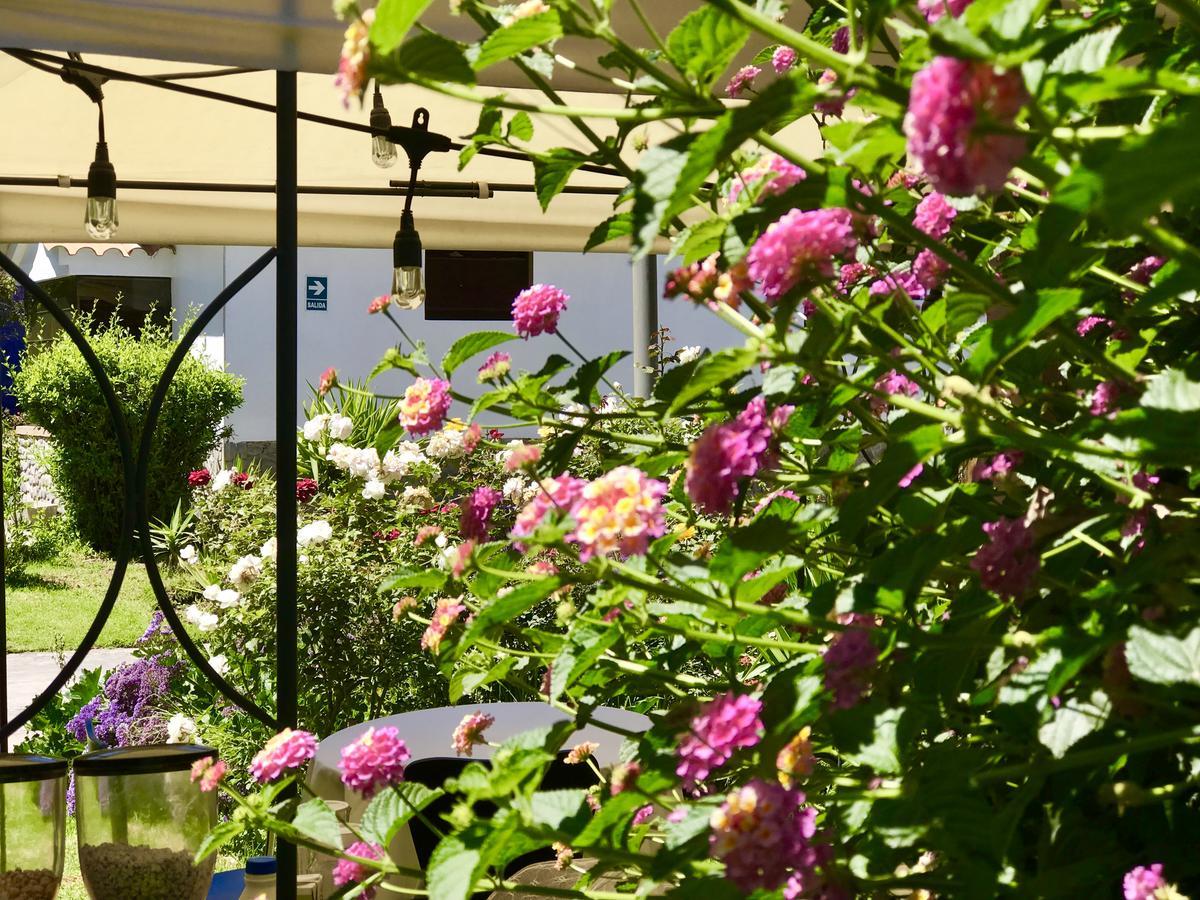 Grace Valley Hotel Arequipa Esterno foto