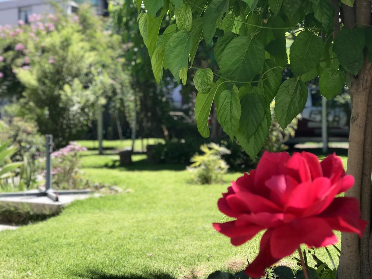 Grace Valley Hotel Arequipa Esterno foto